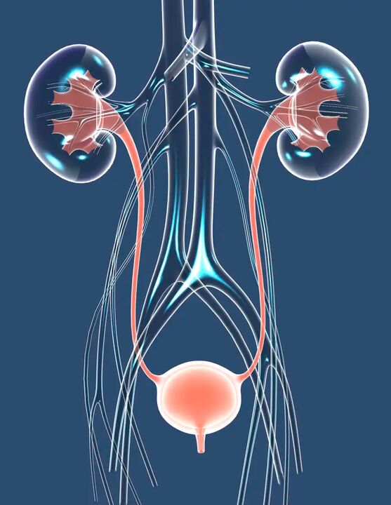 Veselīga vīrieša veselības ilustrācija